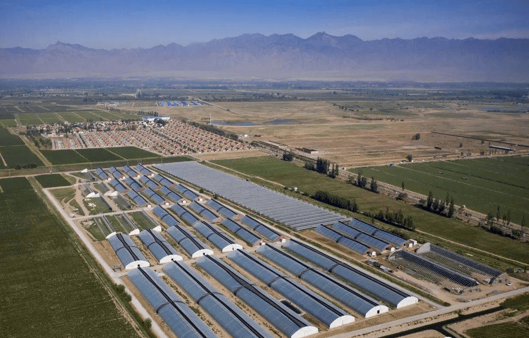 中央一号文件明确指出：2023年设施农业这样干！(图3)